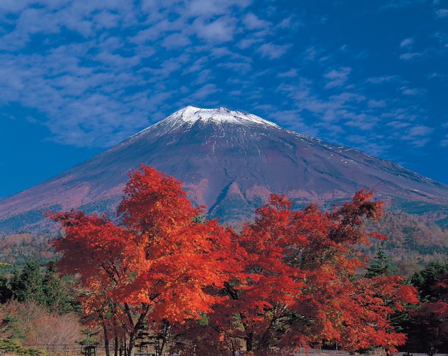 http://www.sukoyaka.or.jp/staff/mt.fuji.jpg