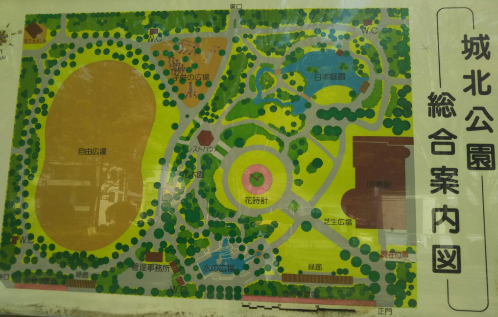城北公園 春の植物観察会 公益財団法人 しずおか健康長寿財団